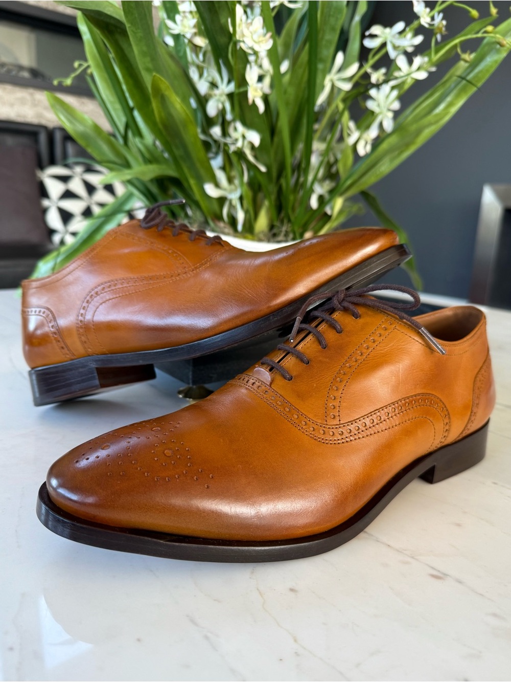New Allen Edmonds Siena Medallion Oxford Dress Shoe Walnut Leather - Picture 3 of 15